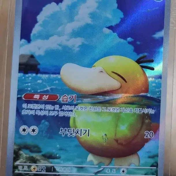 포켓몬 카드 고라파덕 AR