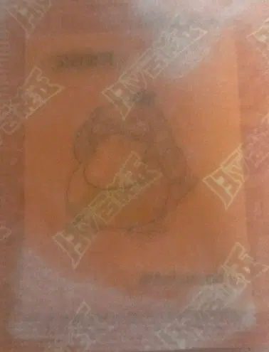 포켓몬스터 띠부씰 고라파덕