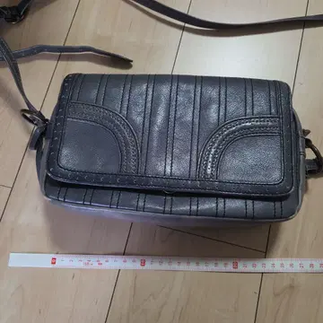 ANNA SUI 숄더백 그레이