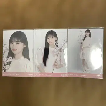 노기자카46 브로마이드 카와사키 사쿠라