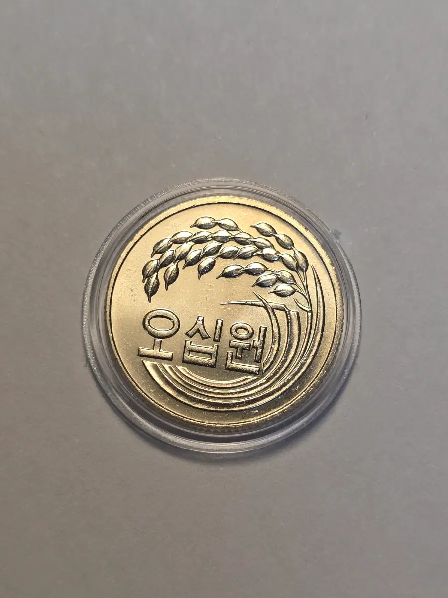 한국은행 1981년 50원 주화 민트세트에서 꺼낸 미사용