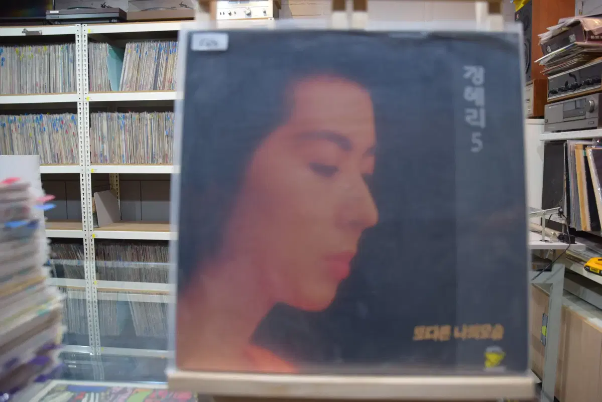 장혜리 5집 민트 : 또다른 나의 모습