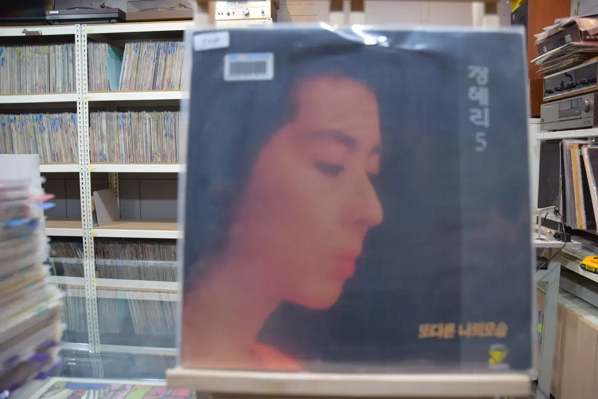 장혜리 5집 민트 : 또다른 나의모습
