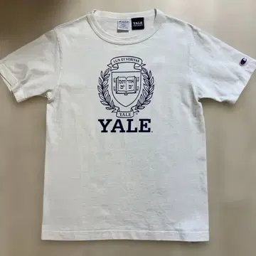 champion T1011 칼리지T YALE USA제 헤비 웨이트