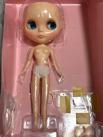 네오 브라이스 [ 도리 데이즈 쓰리 오버 ] 두피 부품 없음 본체, 스탠드 포함
