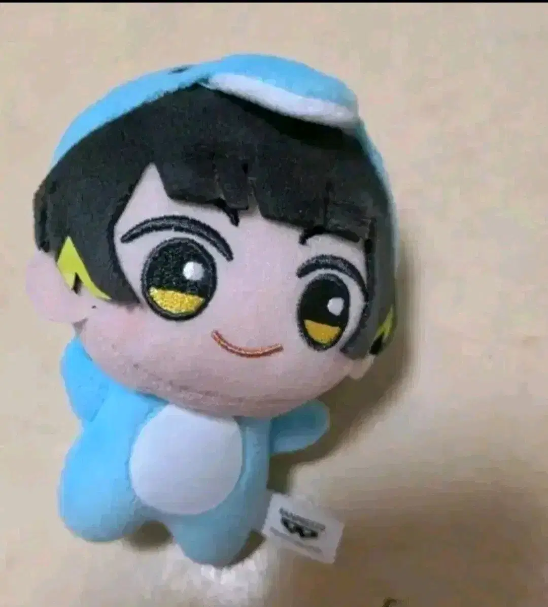 블루록 바치라 돌고래 누이
