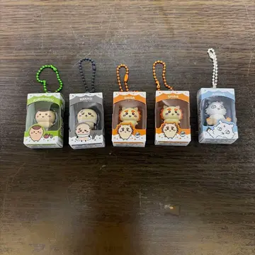 치이카와 초코 박스 묶음 판매