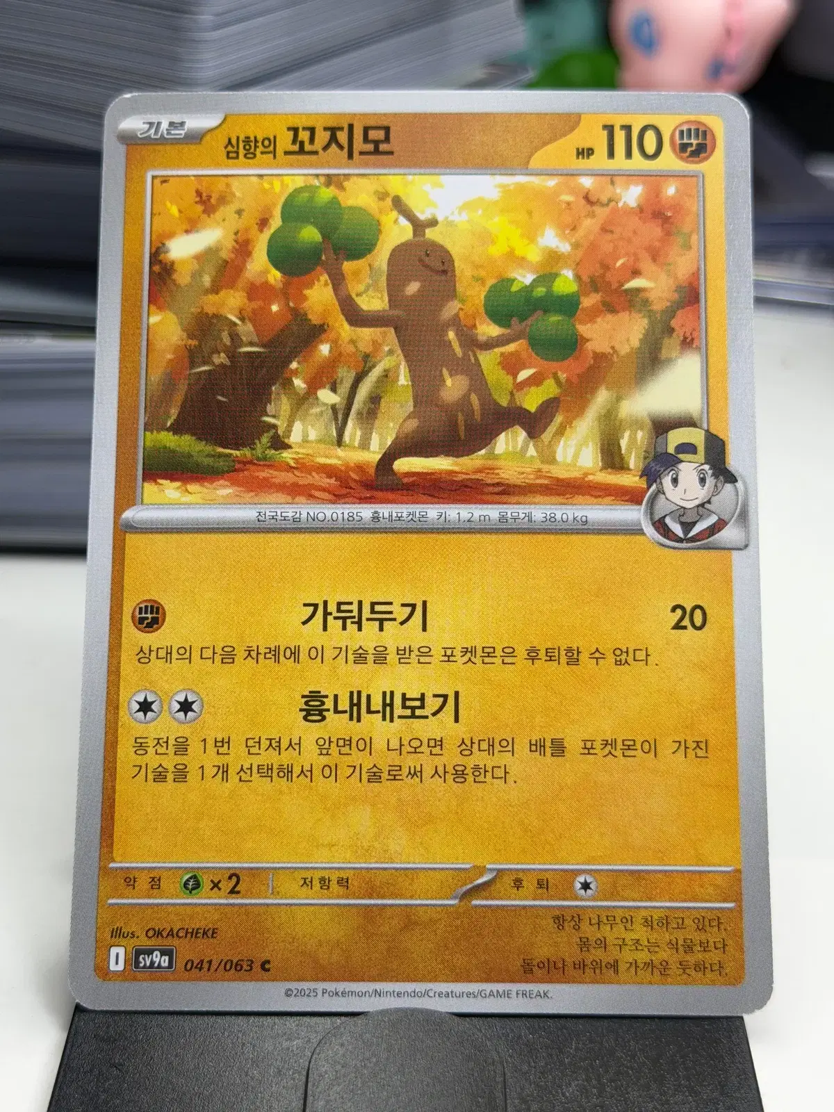 심향의 꼬지모 sv9a 041/063 C (300원)