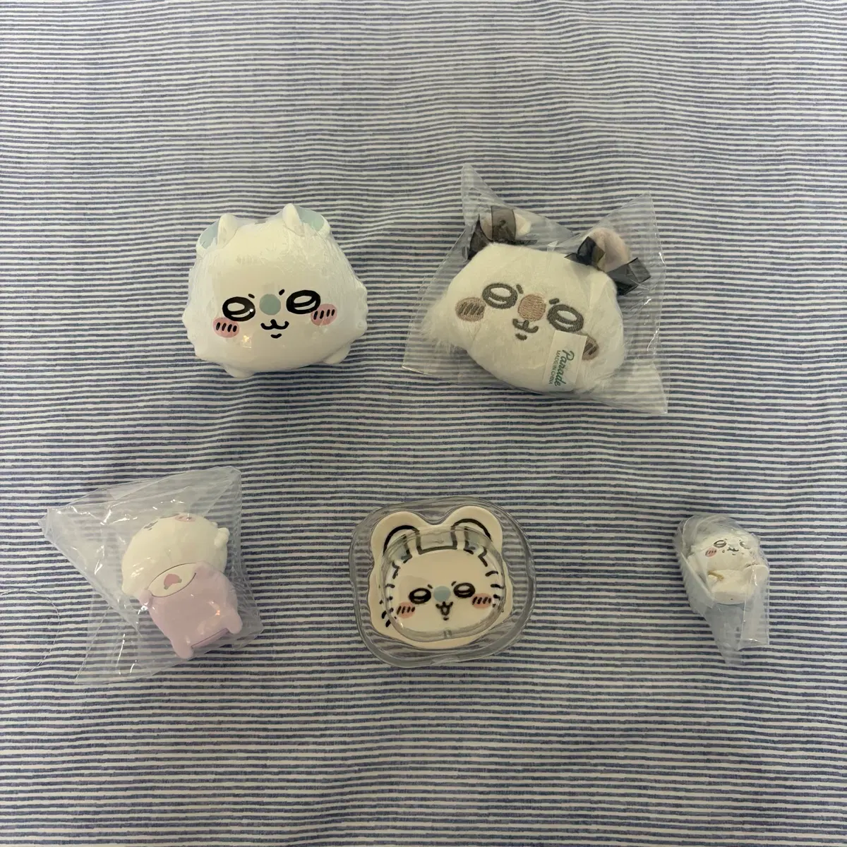 먼작귀 모몽가 가챠 5종 일괄