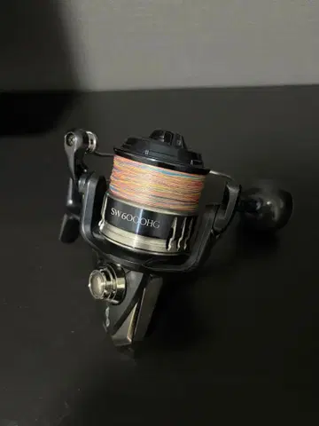 시마노 20 스트라딕 SW 6000HG