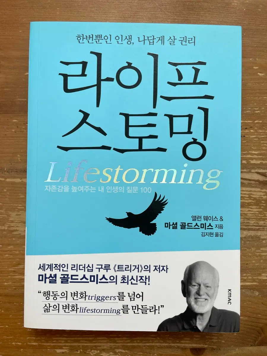 마셜 골드스미스 라이프스토밍