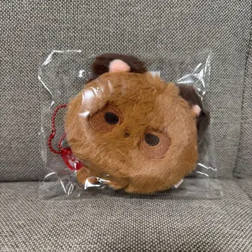 THEBOYZ MINI POUCH SUNWOO 선우