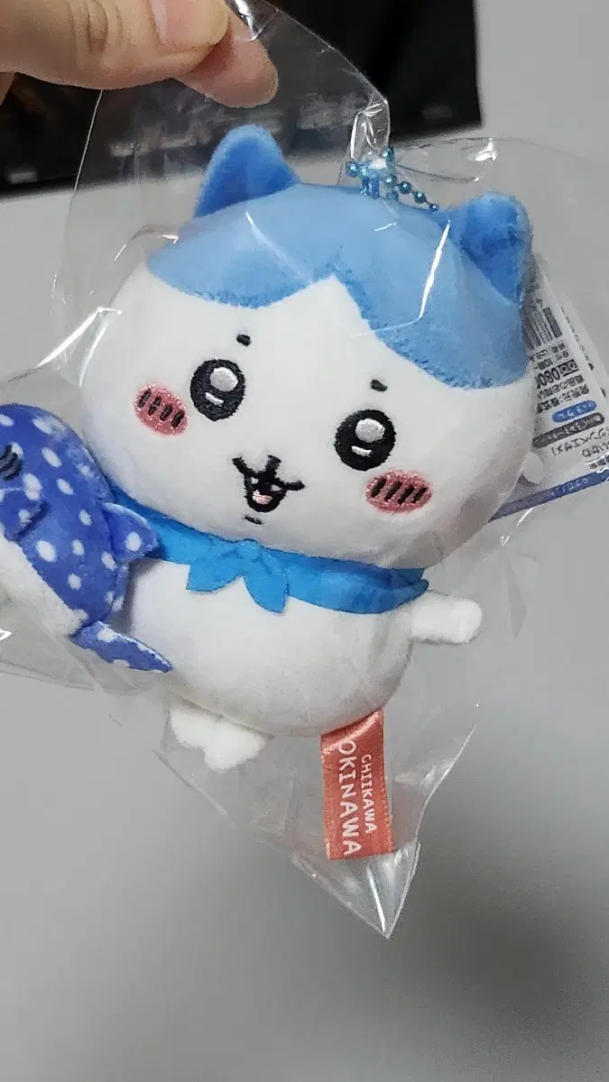오키나와 하치와레 징베자메
