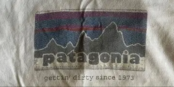 patagonia Men's P-6 T-Shirt