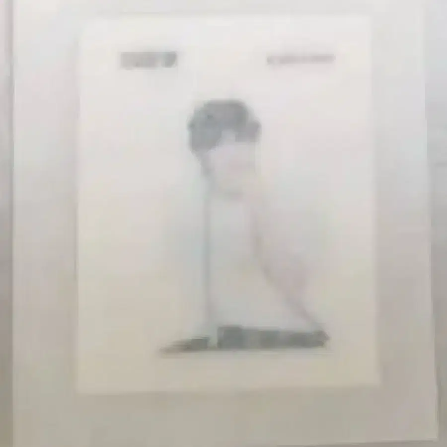 보이넥스트도어 보넥도 태산 띠부씰 (새상품, 미개봉)재현리우운학성호이한