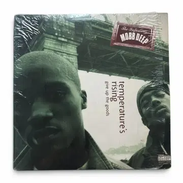 Mobb Deep - Temperature's Rising 1995 LP | CD/DVD/LP | 번개장터