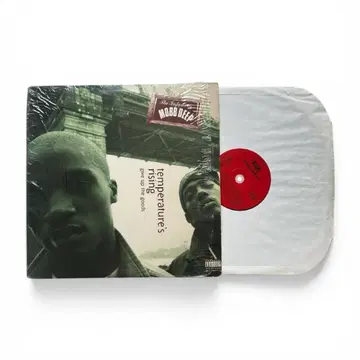 Mobb Deep - Temperature's Rising 1995 LP | CD/DVD/LP | 번개장터