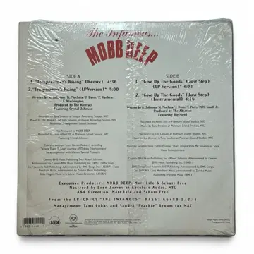 Mobb Deep - Temperature's Rising 1995 LP | CD/DVD/LP | 번개장터