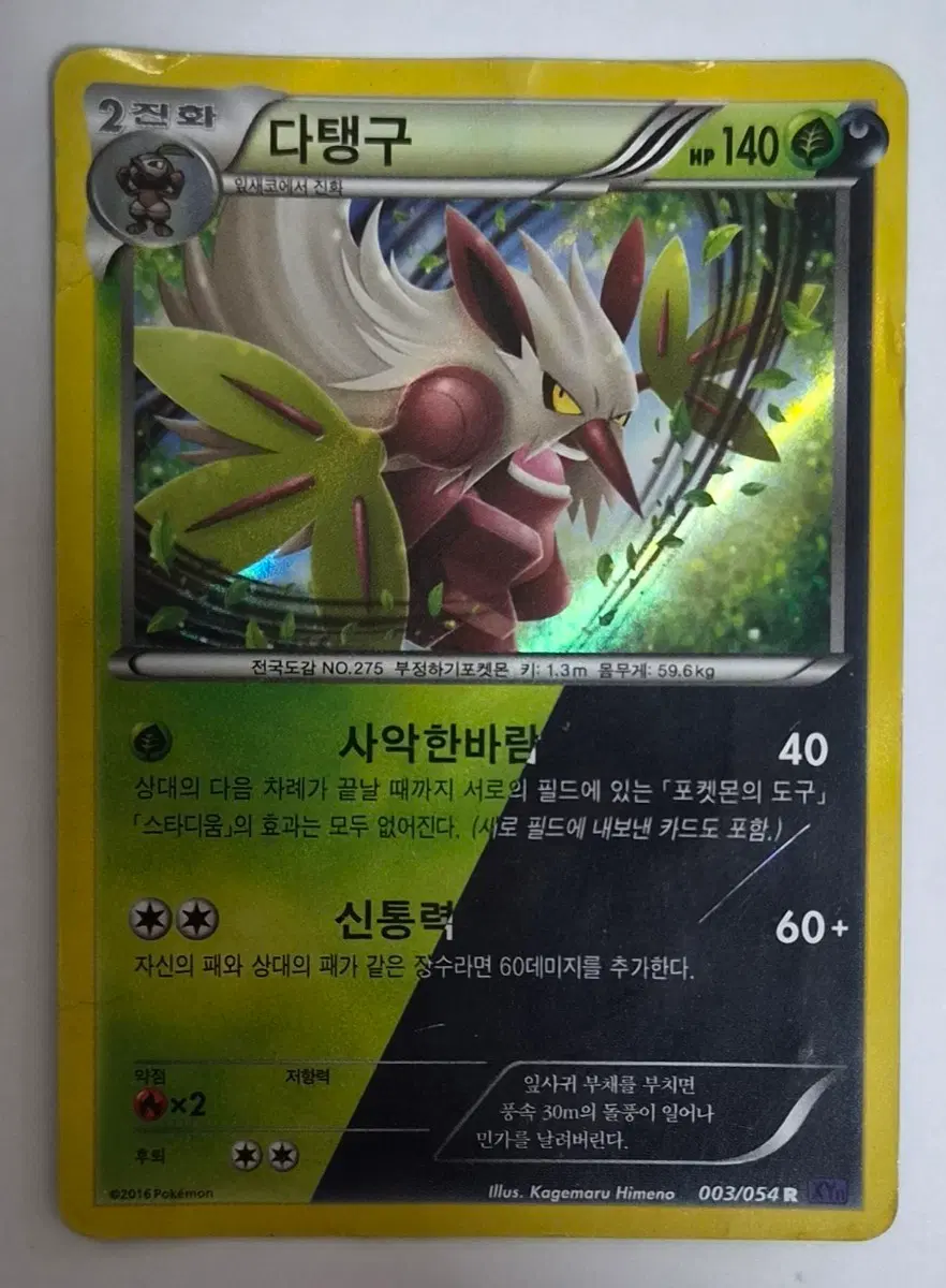 다탱구 xy11