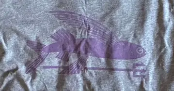 patagonia Men's Flying Fish T-shirt