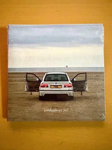 Pet Shop Boys 펫 샵 보이즈 CD 싱글 feel