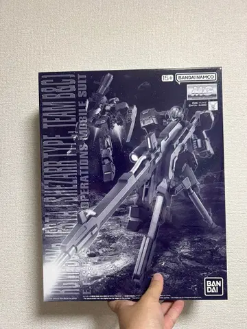 MG 1/100 제스타 (셰자르대 사양 B&C반 장비)