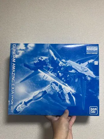 MG 1/100 건담 어메이징 엑시아