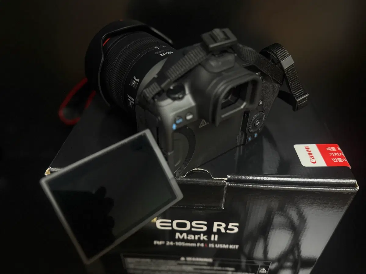 캐논 EOS R5 Mark II RF 24-105mm F4 IS USM KIT