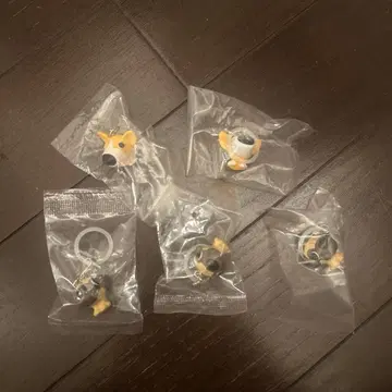THE DOG 더도그 메지루시 액세서리