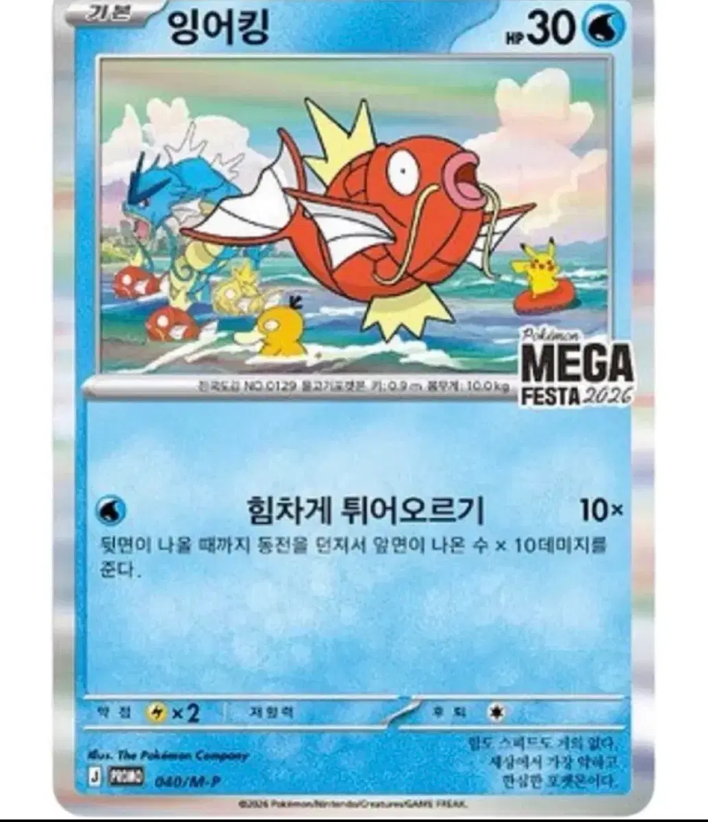 포켓몬 카드 잉어킹