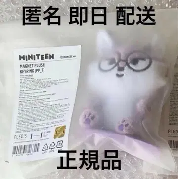 SEVENTEEN 세븐틴 세부치 MINITEEN 미니틴 원우 마그넷