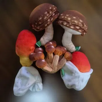 버섯 봉제 인형 마스코트 5종 세트