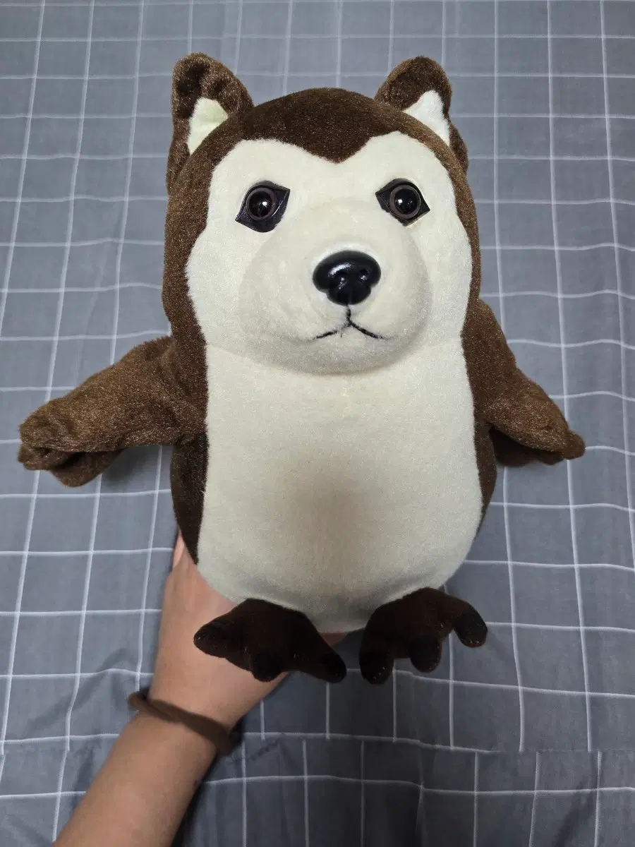 개새인형