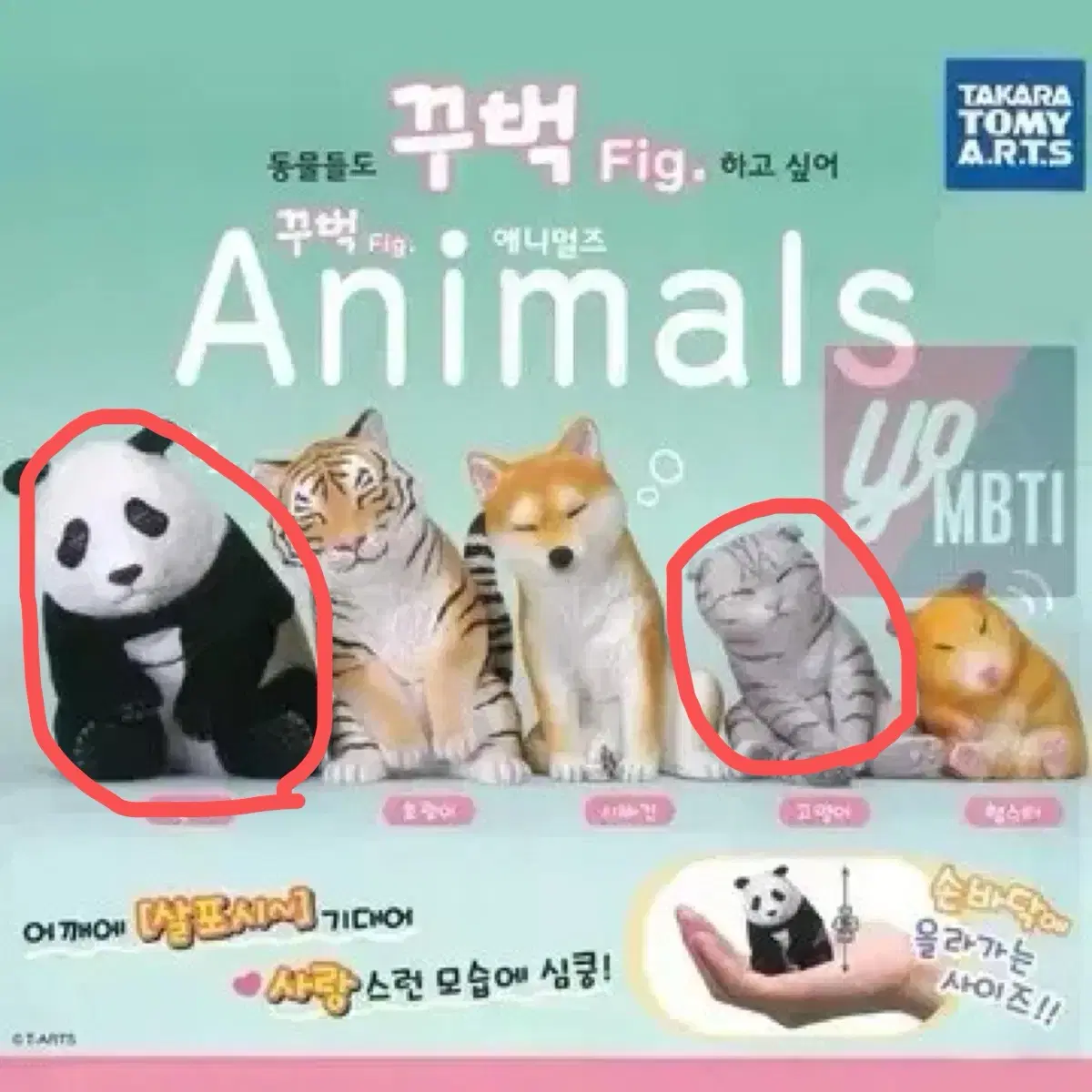타카라토미 꾸벅꾸벅 애니멀즈 동물 고양이 판다 가챠 피규어