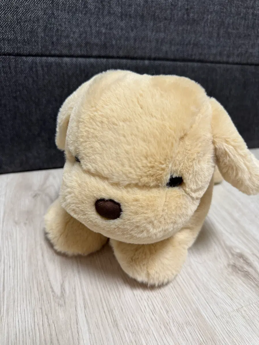 강아지 인형