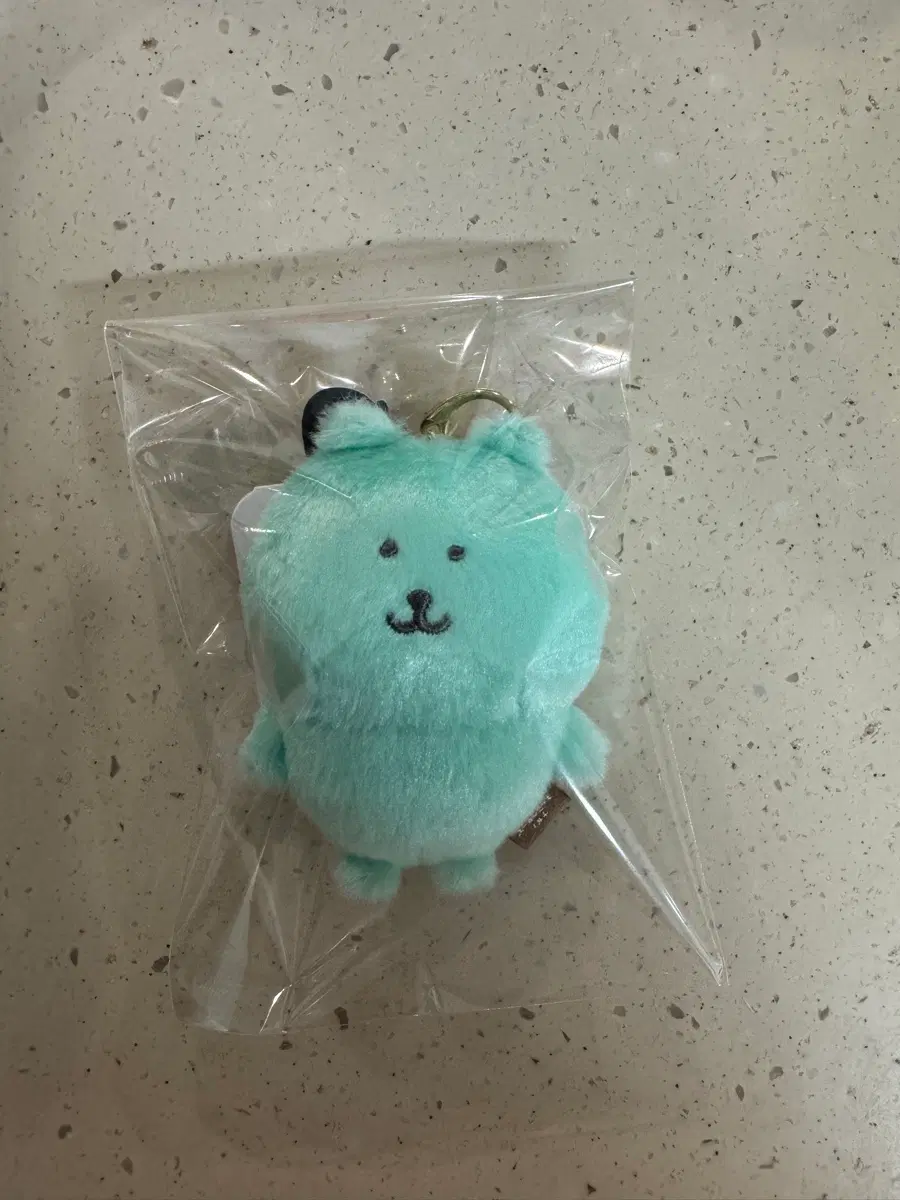 나가노마켓 컬러곰 민트