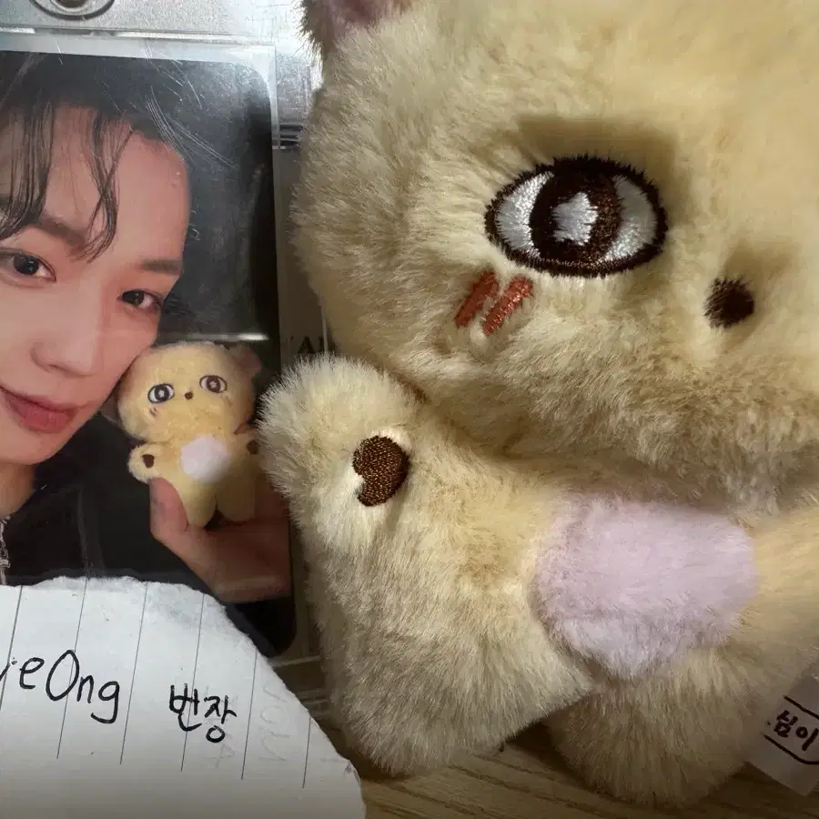 박지훈 인형