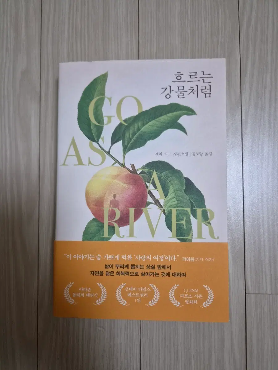 (새책) 흐르는 강물처럼