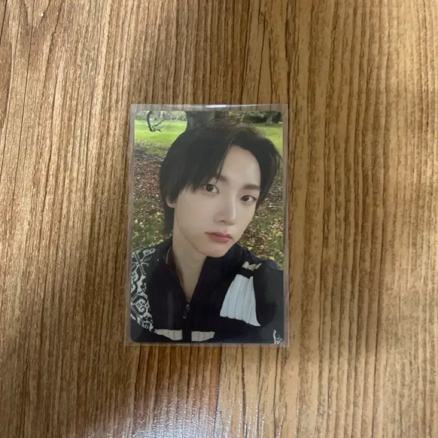 보넥도 성호 태산
