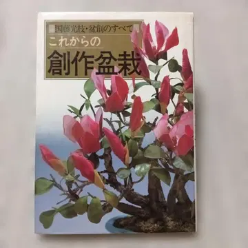 이것이 앞으로의 창작 분재 쿠니토 코에 분창의 모든 것
