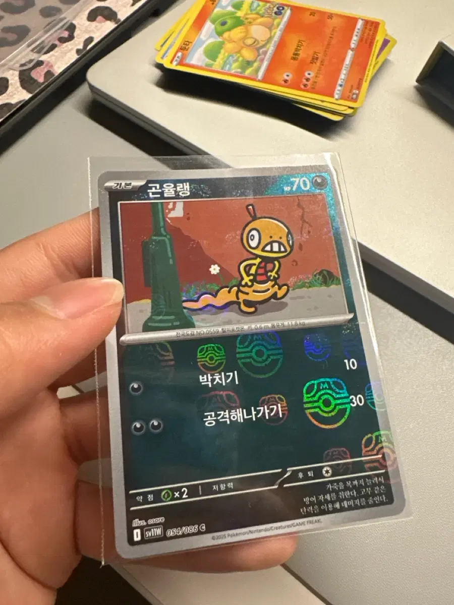 곤율랭 마스터볼카드