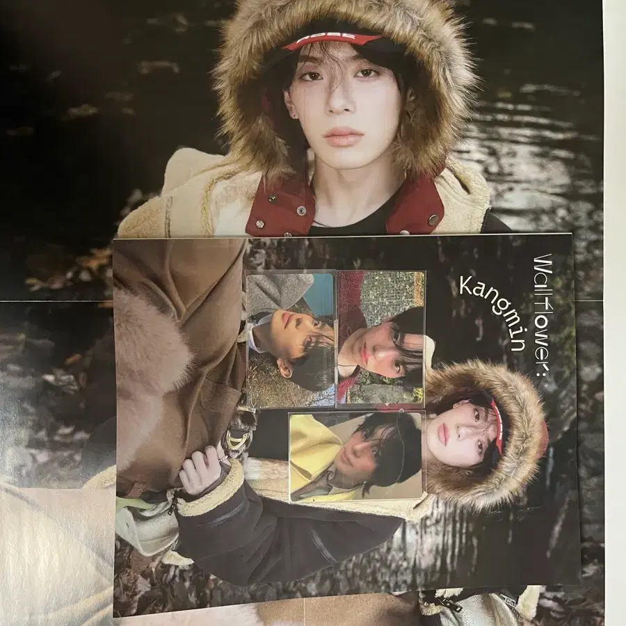 Wallflower: kangmin+포스터+포카