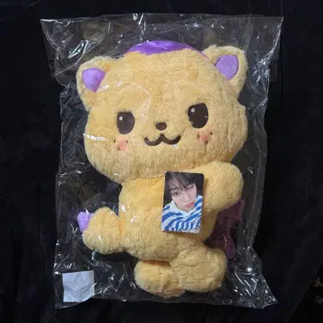 NCT WISH 시온 LOGin 봉제 인형 백 시오닌 미사용 새상품