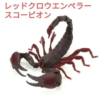 [미개봉] 생물대도감 레드크로우엠퍼러 스콜피온 (대)
