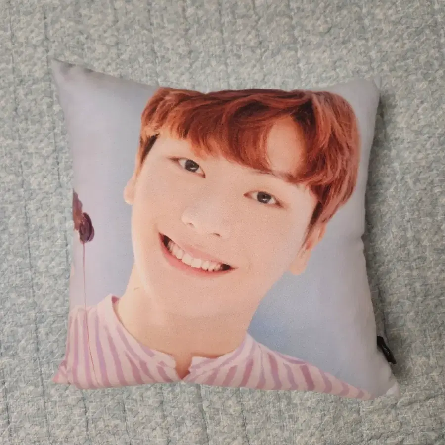 비투비 7주년 기념 육성재 쿠션 공식굿즈