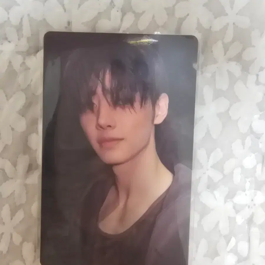 엔하이픈 성훈 포카 판매