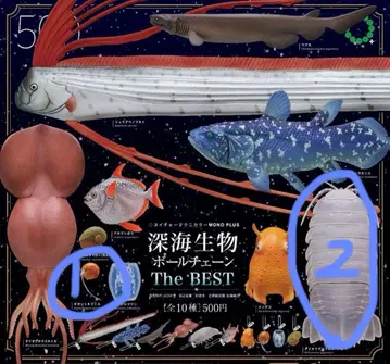 심해 생물 이키몬 네이처 테크니컬러 세트(^_^)