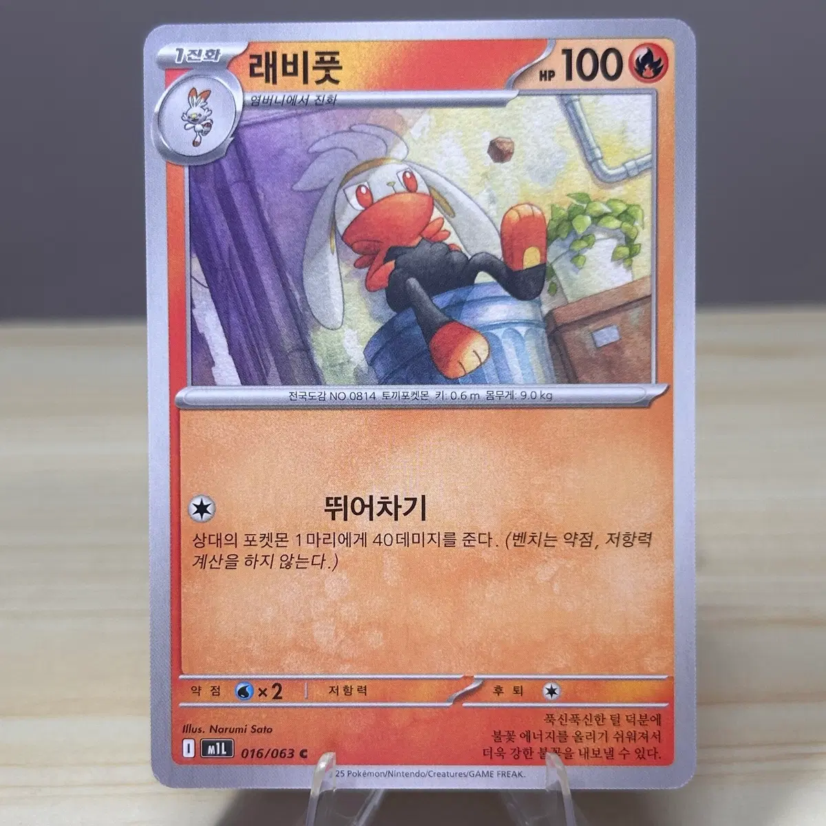 [포켓몬카드] 래비풋 m1L 016/063 C