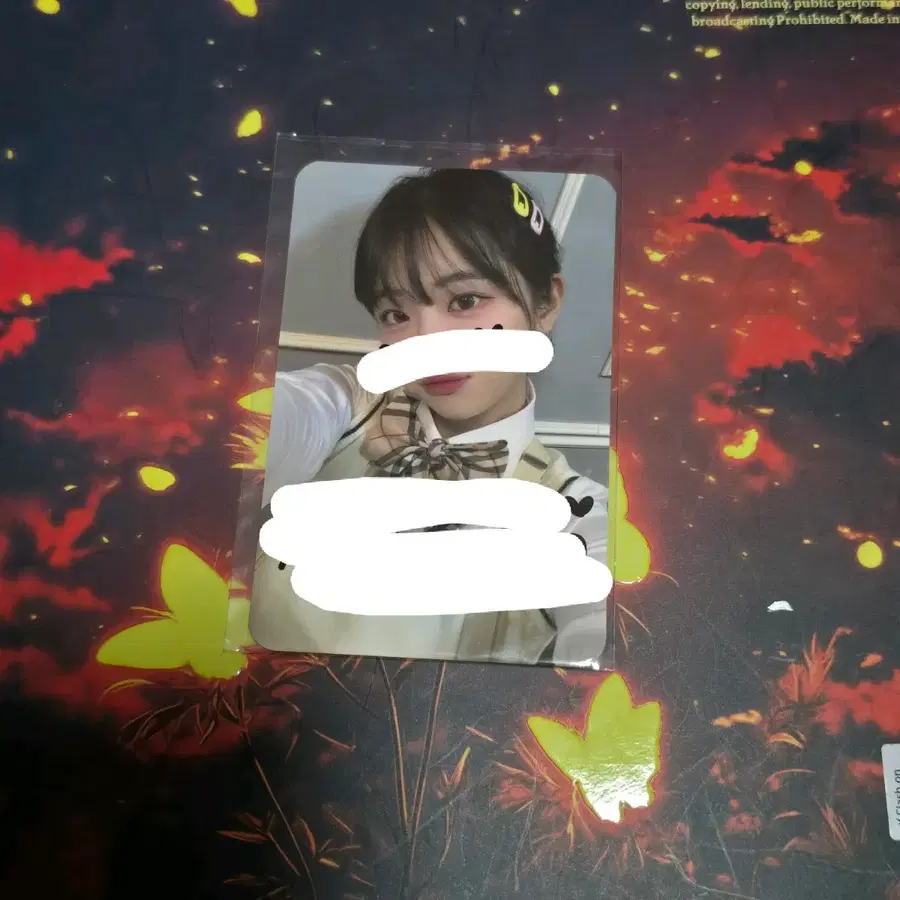 QWER 고민중독 팬싸 당첨자 교복 미공포 포카 쵸단 마젠타 히나 시연