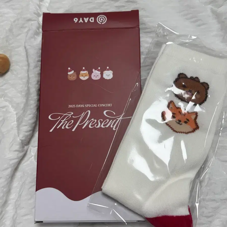 데이식스 입장키트 양말 선물콘